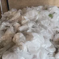 نیروخانم اتباع جهت تفکیکضایعات نایلون وکندورکارآقا