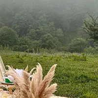 پارتنر طبیعت گردی