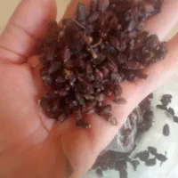 انواع میوه های خشک شده بسیار تمیز و خوشمزه|عمده‌فروشی|صدرا-فارس, فاز ۱|دیوار