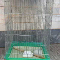قفس پرنده طوطی