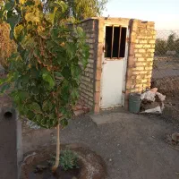 باغچه .