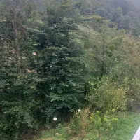 ویلا اجاره شبانه|اجارهٔ خانه و ویلا|زیرآب, |دیوار