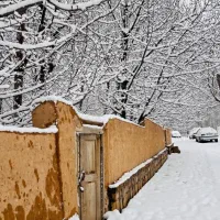 فروش حیاط متراژ۲۳۰ متر بنا ۹۰ متر