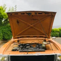 پیکان دولوکس|خودرو کلاسیک|شیراز, شهرک گلستان|دیوار