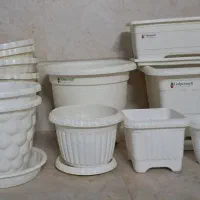گلدان|گل و گیاه طبیعی|قم, سراجه (۱۵ خرداد)|دیوار