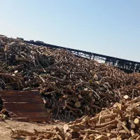 خریدار انواع چوب|خدمات باغبانی و درختکاری|نورآباد ممسنی, |دیوار