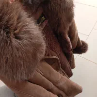 پالتو خز ضخیم