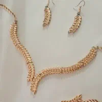 سرویس بدلیجات