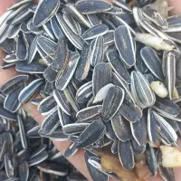 تخمه اس ۴۰۰