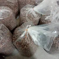 خرما بصورت عمده و کیلوی|خوردنی و آشامیدنی|قم, جمکران|دیوار