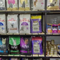 شراکت در بخش پت شاپ کلینیک دامپزشکی