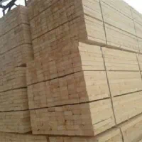 تهیه و توزیع چوب نراد روسی و جنگلی