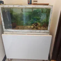 آکواریوم با ماهی