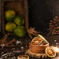 دستگاه خشک کن‌خانگی‌ میوه‌هاسبزیجات gip80و d16