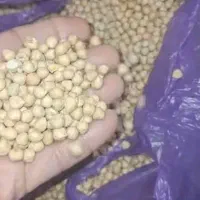 فروش عمده نخود،عدس،روغن آفتابگردان (روسیه)