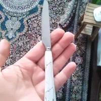 12 عدد کارد میوه خوری دسته سرامیک جنس خارجی