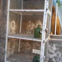 ۵طبقه جفتی|لوازم جانبی حیوانات|بوئین زهرا, |دیوار