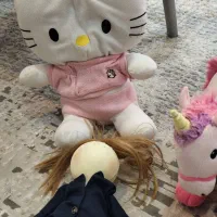 عروسک|اسباب‌بازی بچه|یزد, |دیوار