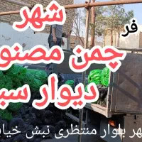 چمن مصنوعی انبار فقط ۲۵میل 330.چمن ۱۵میل 275|خدمات باغبانی و درختکاری|خمینیشهر, |دیوار