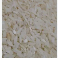 برنج چمپا لردگان