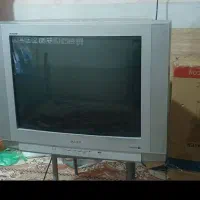 تلویزیون