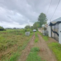 ۶۵۰ متر مسکونی باغی/چشم‌انداز شالیزار ابدی|فروش زمین و ملک کلنگی|لشت نشا, |دیوار