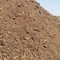 کود گاوی خشک و پوسیده
