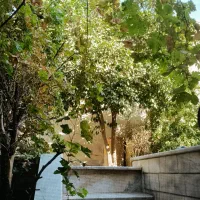 دونبال-خا-نه-هستدم-برای-5-نفر