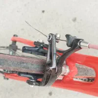 دوچرخه کورسی mont کربن|دوچرخه، اسکیت، اسکوتر|تهران, سعادت‌آباد|دیوار