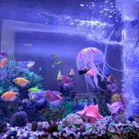 آکواریم سالم شرکتی