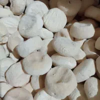 کشک گوسفند