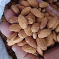 مغز بادام زرین