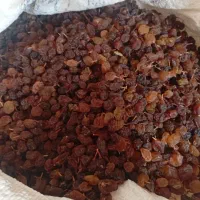 انجیر وکشمش امسالی