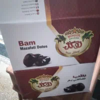 خرما عمده کارتونی ۲۸۰