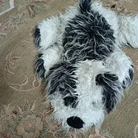 عروسک بزرگ سگ پولیشی|اسباب‌‌بازی|یزد, |دیوار