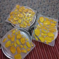 میوه خشک کن گازی برقی|ماشینآلات صنعتی|اصفهان, برزان|دیوار