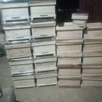 کندوسازی|لوازم جانبی حیوانات|ساری, |دیوار