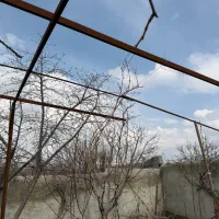 نیازمند یک قلاده سگ نگهبان سرو صدا کن