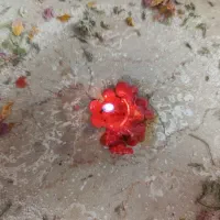 فا.ل -شمع تراپی و.دعا