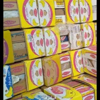 کارتون موزی