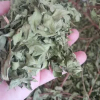 حنا طبیعی|آرایشی، بهداشتی، درمانی|وحدتیه, |دیوار