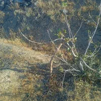 راهنمایی پنل خورشیدی