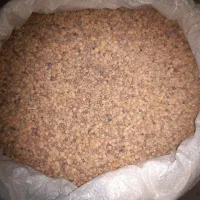 عدس|خوردنی و آشامیدنی|کازرون, |دیوار