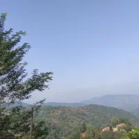 زمین مسکونی جنگلی با چشم انداز بی نظیر