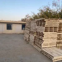 استاد کار نجاری