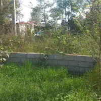 زمین|فروش زمین و ملک کلنگی|رشت, آب آسیاب|دیوار