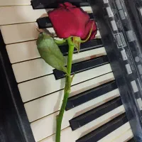 ارکستر مجالس عقد و عروسی...