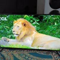 الیدی 43 انیج هوشمند اسمارت سونیا دیجیتال