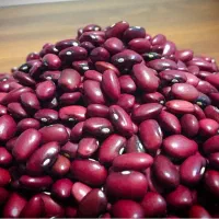 لوبیاقرمز درجه یک۲۱۰...یک تن