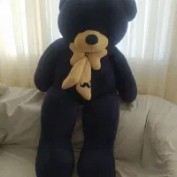 خرس بزرگ دومتری